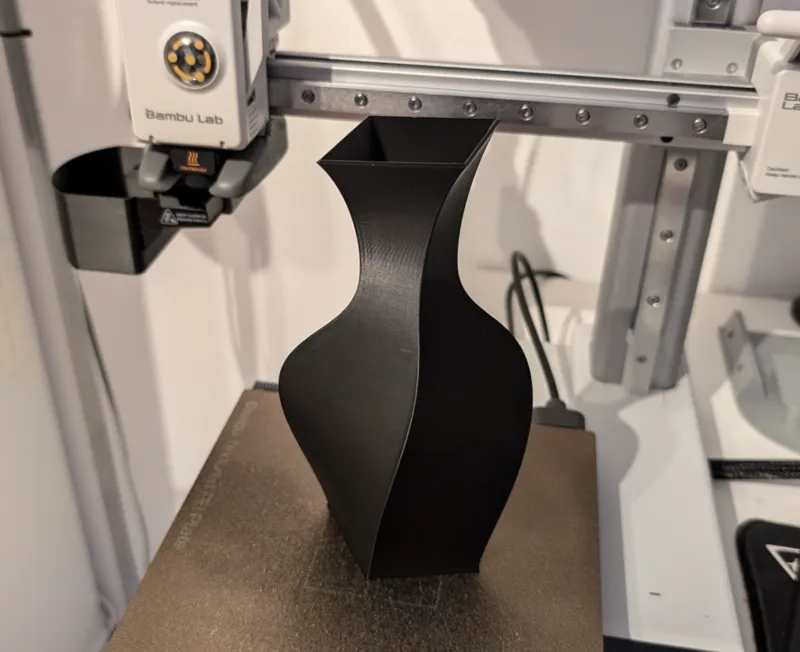 Elegant Vase