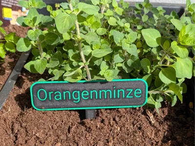 Garden labels - customizable