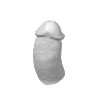 Scan 3D - objet adulte — photo 2