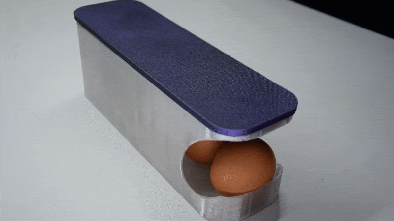 Egg Dispenser - Egg Organizer