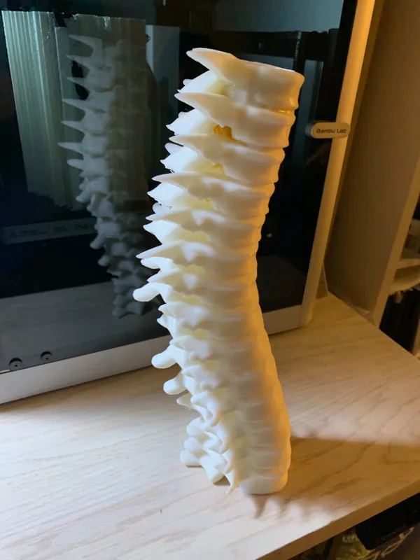 https://makerworld.bblmw.com/makerworld/model/US2656895e88feb9/design/2023-12-15_7b64a9f997ac4.jpg