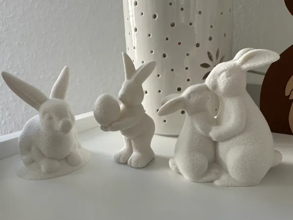 https://makerworld.bblmw.com/makerworld/model/US2656cecb752346/design/2025-03-16_525176b79d09a8.jpeg