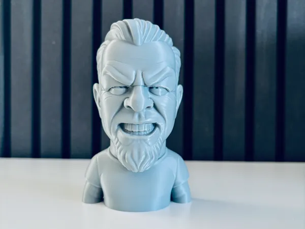 https://makerworld.bblmw.com/makerworld/model/US2657c74f3a06c7/design/2025-12-20_ff64b76c4e1608.jpg