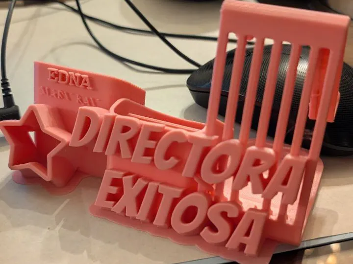 ORGANIZADOR DIRECTORA