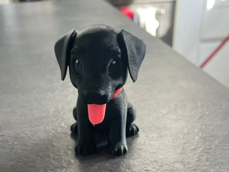 Il mio cane Hira