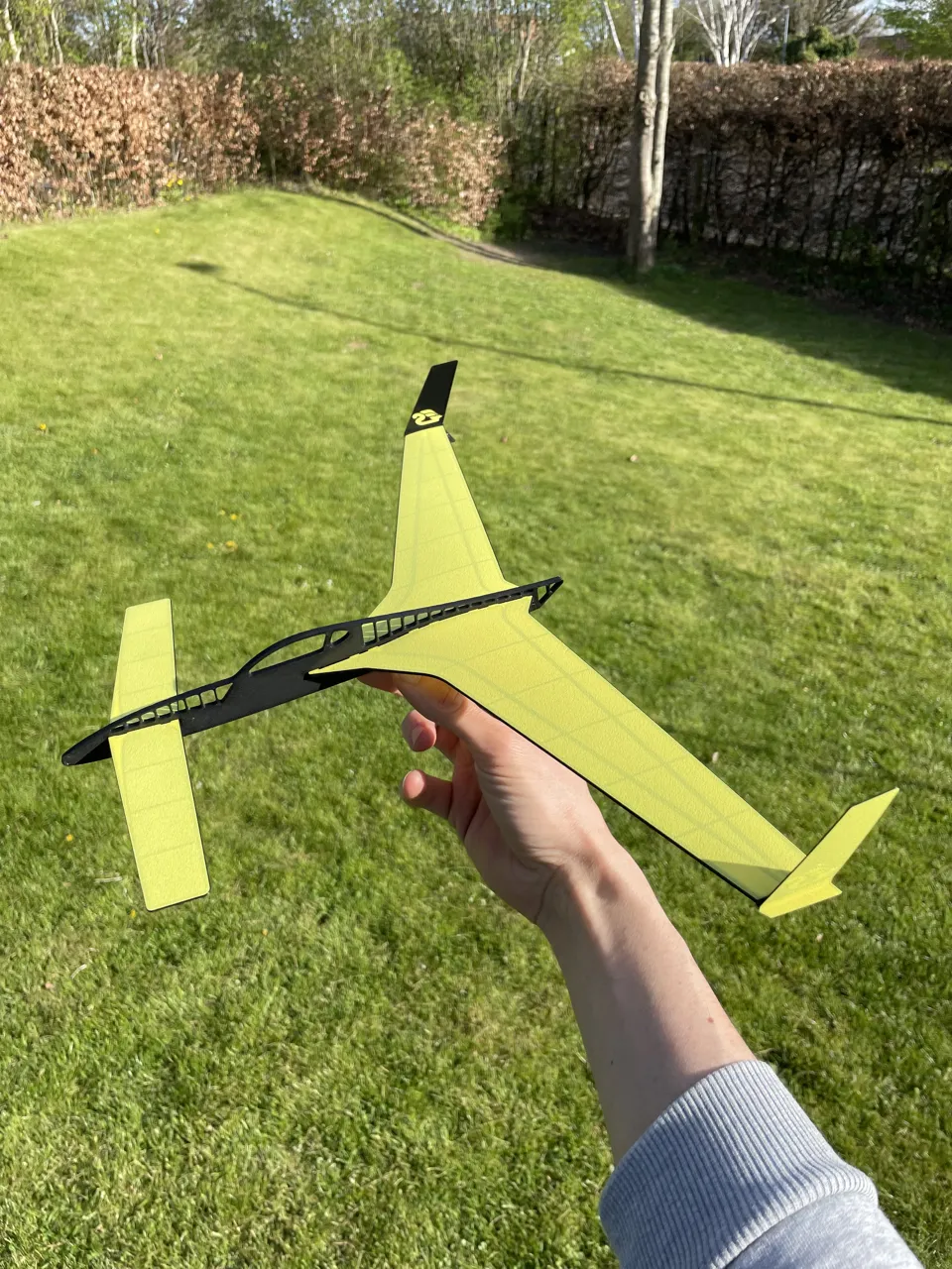 Canard Glider – Stable Flight, Under 2h view 4