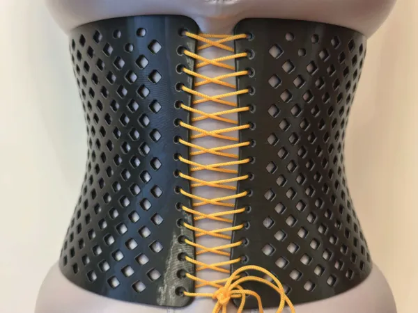 https://makerworld.bblmw.com/makerworld/model/US266a9a589279ff/design/b140106c0358df72.jpg