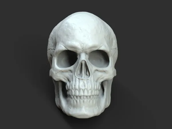 https://makerworld.bblmw.com/makerworld/model/US266ea5f65da0e3/design/2023-12-27_31323d302e94a.jpg