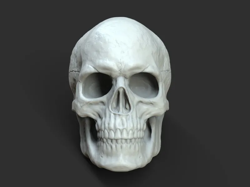 Skull