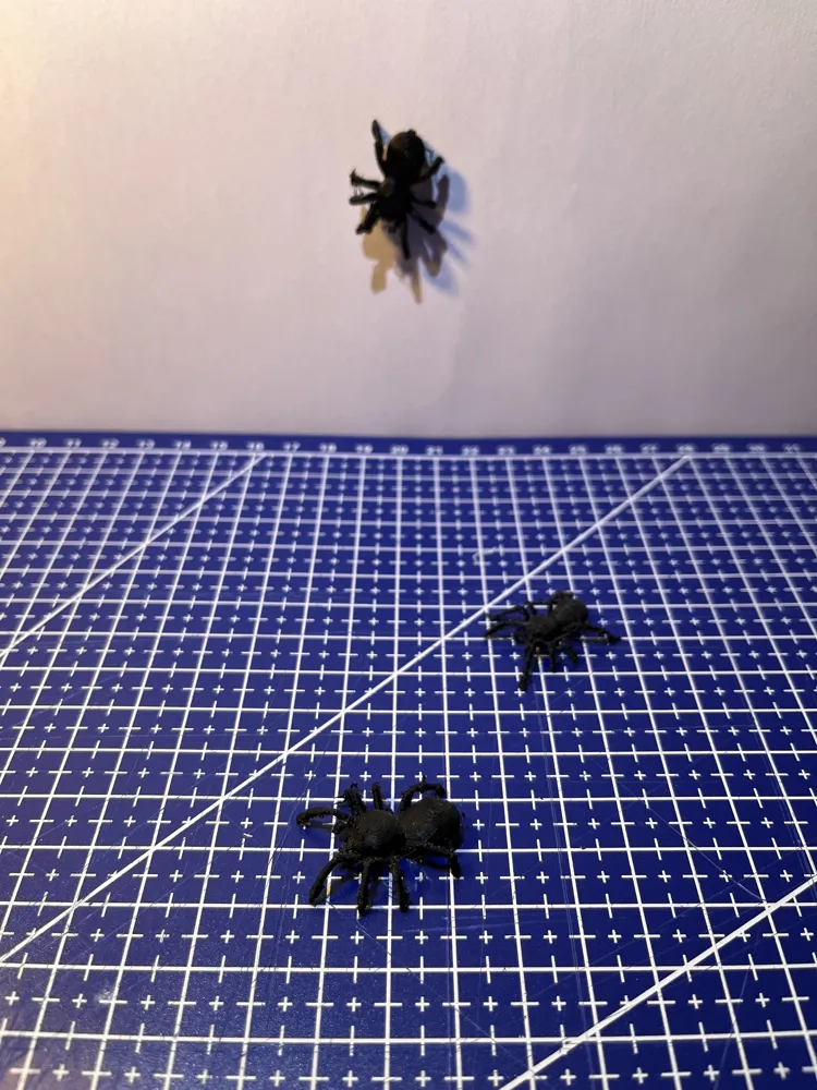 Spider (realistic!) by Stoom MakerWorld: Download Free 3D Models
