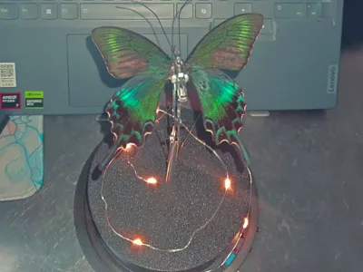 Mechanical Butterfly Base