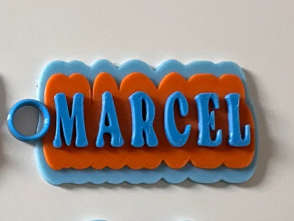https://makerworld.bblmw.com/makerworld/model/US2673af9155f0b5/design/2025-04-06_2ded1435fbe04.jpg
