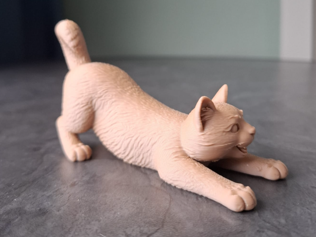 Playful Stretching Kitten