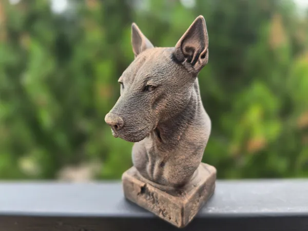 https://makerworld.bblmw.com/makerworld/model/US267f9b0743fd64/design/2025-06-06_173447d0bca818.jpg