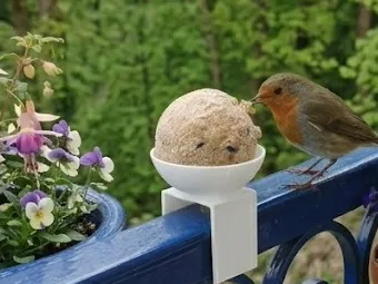 Meisenknödel-Halter