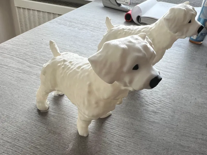 Dog Terrier