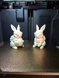 Rabbit PLA matte 0.16mm layer, 3 walls, 8% infill