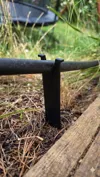 20mm Tube Support Stake