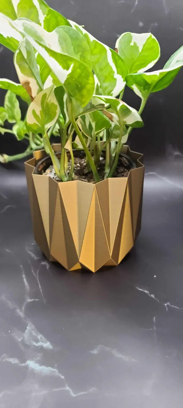https://makerworld.bblmw.com/makerworld/model/US2692863234a6e7/design/2023-12-22_647142d168151.jpg