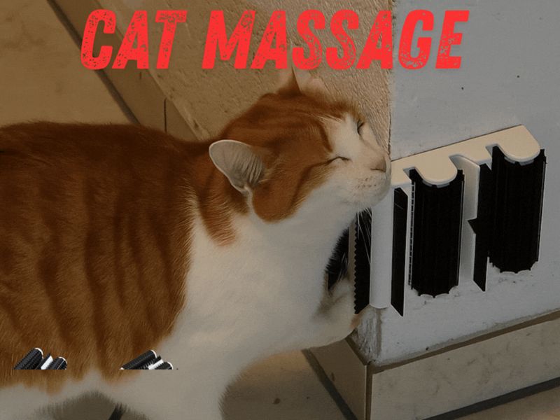 Katzenmassage-Ecke – modular 