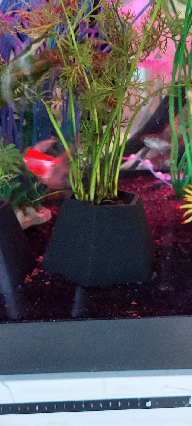 Aquarium planter 