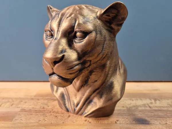 https://makerworld.bblmw.com/makerworld/model/US2696ed45231519/design/2025-06-04_e8d2ccbaa726c8.jpg