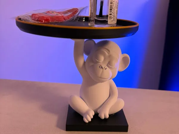 https://makerworld.bblmw.com/makerworld/model/US26973e335b5537/design/2025-09-28_029a0c4f740c98.jpeg