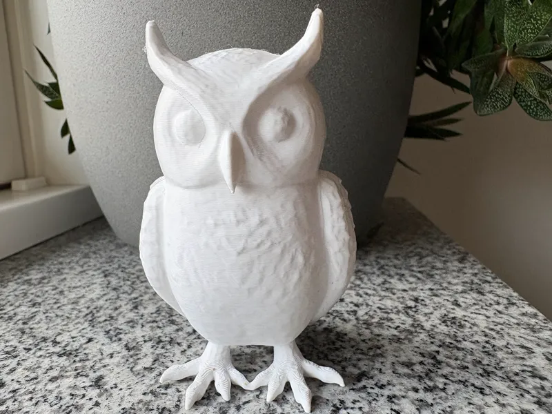 Pretty Owl