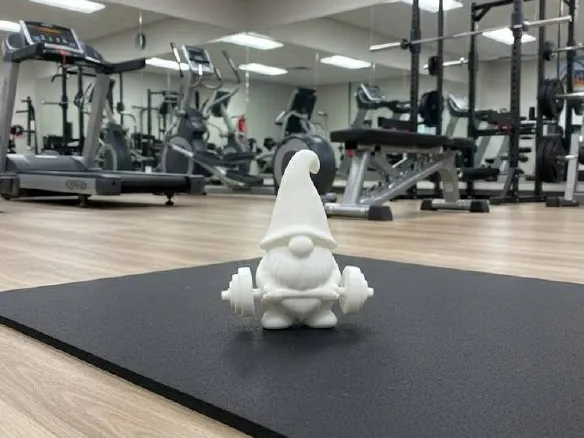 Gnomo Fitness