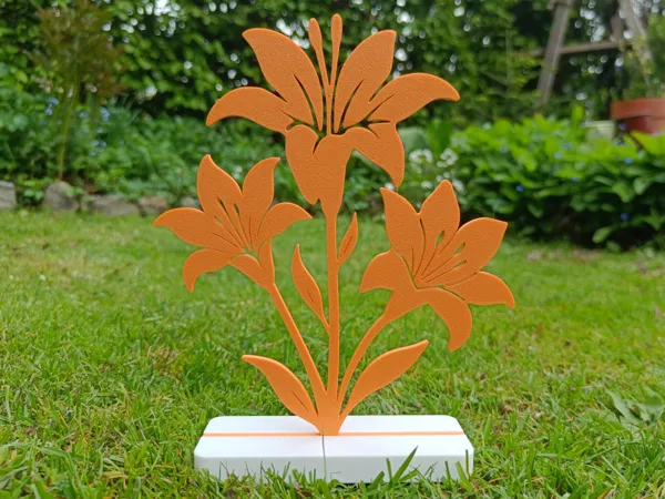 https://makerworld.bblmw.com/makerworld/model/US269c948b18eace/design/2025-04-26_761600fc4eed6.jpg