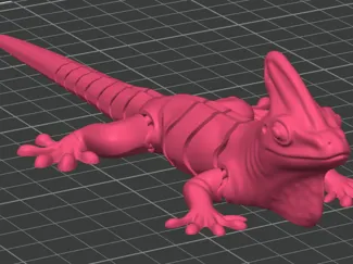 moving lizard