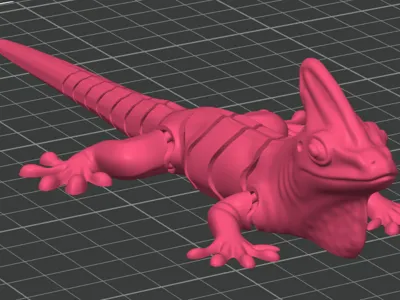moving lizard
