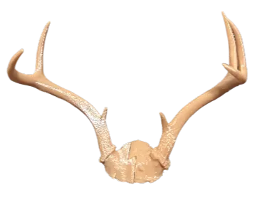 https://makerworld.bblmw.com/makerworld/model/US269e30655b4314/design/2025-03-07_8d1007c940039.png