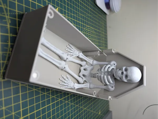 https://makerworld.bblmw.com/makerworld/model/US26a0af9a72d7c4/design/2025-10-12_9d6dd7f91c5e48.jpg