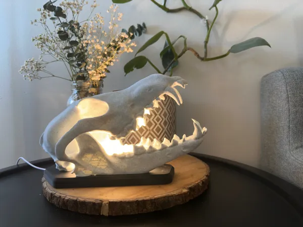 https://makerworld.bblmw.com/makerworld/model/US26a1f00e1f0be6/design/2024-02-21_d4a6371fa4451.jpg