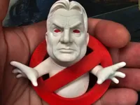 0.08mm layer, 2 walls, 8% infill