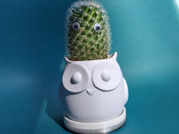 https://makerworld.bblmw.com/makerworld/model/US26a3be386fa2c4/design/b5f251079e65b524.jpg