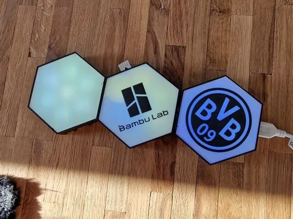 https://makerworld.bblmw.com/makerworld/model/US26a6cdb53e177a/design/2024-12-31_f84847ce948828.jpg
