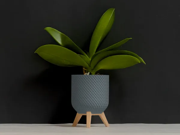 https://makerworld.bblmw.com/makerworld/model/US26a80795171a89/design/2025-02-07_1bca32bc567f98.jpeg