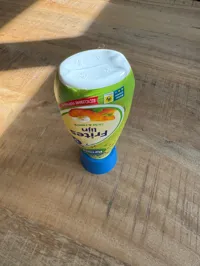 Remia Frites Lijn V2