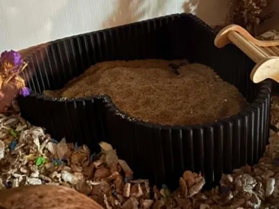 Heart shaped hamster sand bath