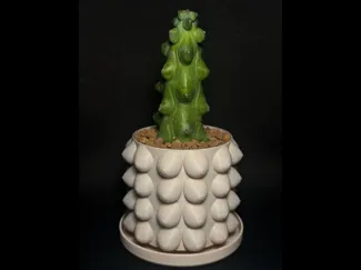 Boobie Planter