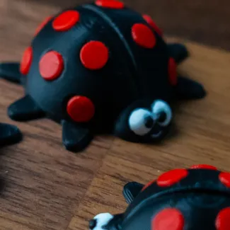 Ladybug 