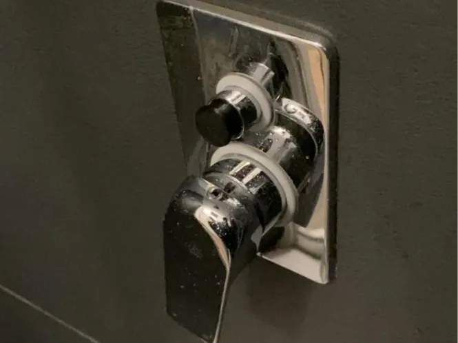Selector for shower mixer