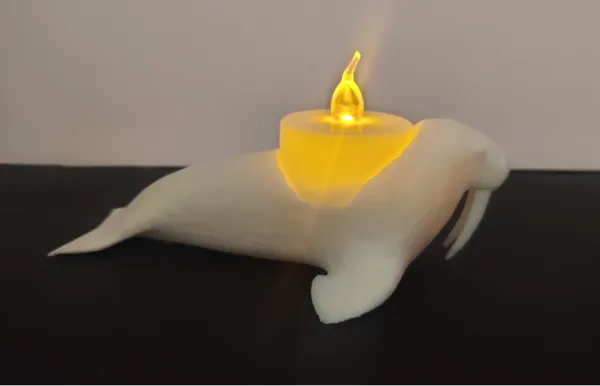 https://makerworld.bblmw.com/makerworld/model/US26bc500d4aa175/design/2024-12-27_3a94e9eecf155.jpg