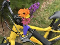 Flower Holder
