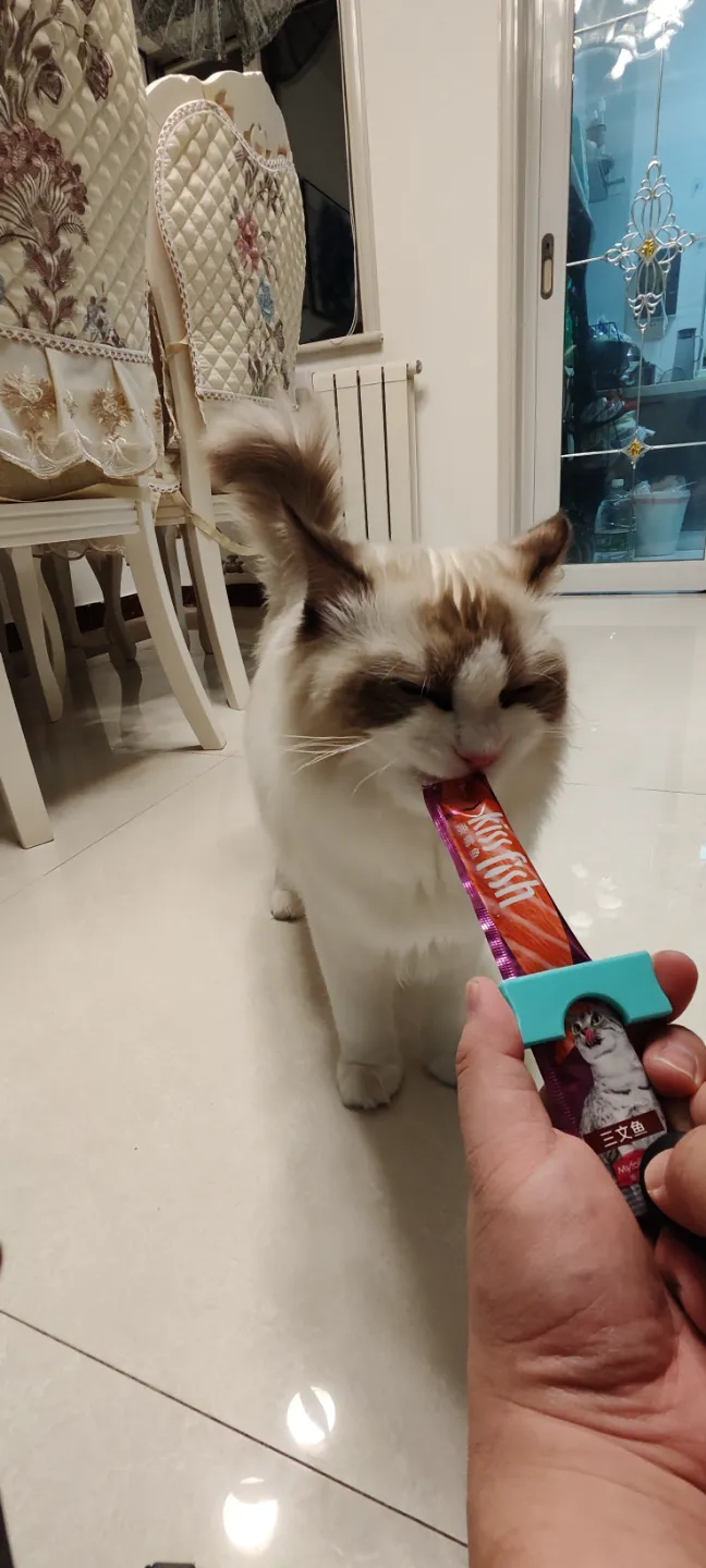 Cat Treat Dispenser by Panda playing 3D MakerWorld