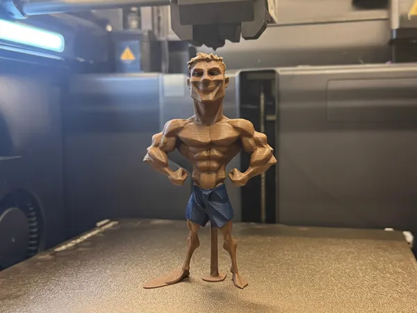 https://makerworld.bblmw.com/makerworld/model/US26c81c0d18bb16/design/2026-01-13_c062b0b861f51.png