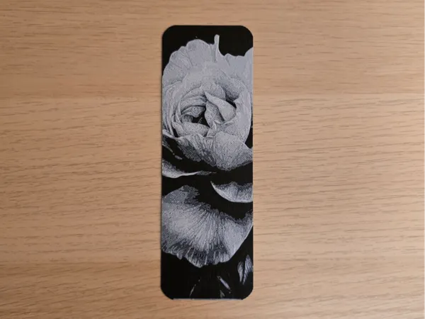 https://makerworld.bblmw.com/makerworld/model/US26c97fc6aa5918/design/2025-02-06_e7487521325d7.jpg