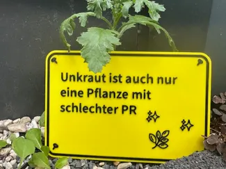 Unkraut ist auch nur eine Pflanze